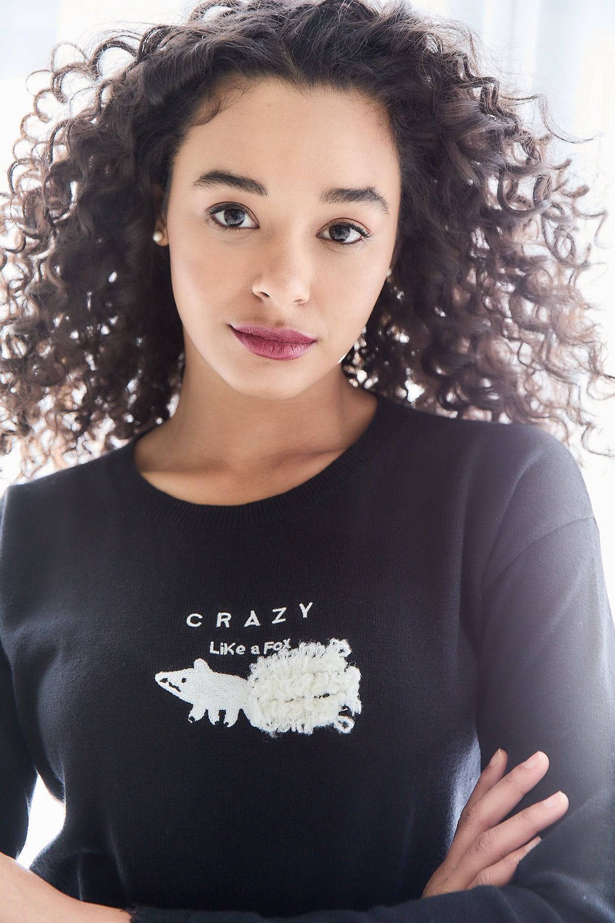 CRAZY LIKE A FOX - Sweater-LISA TODD